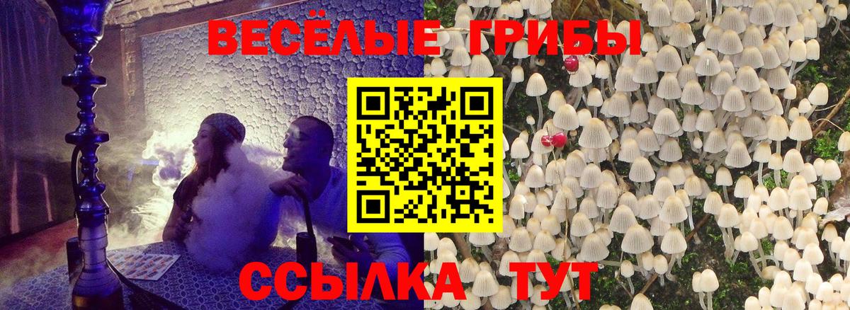 Псилоцибиновые грибы мухоморы Котлас