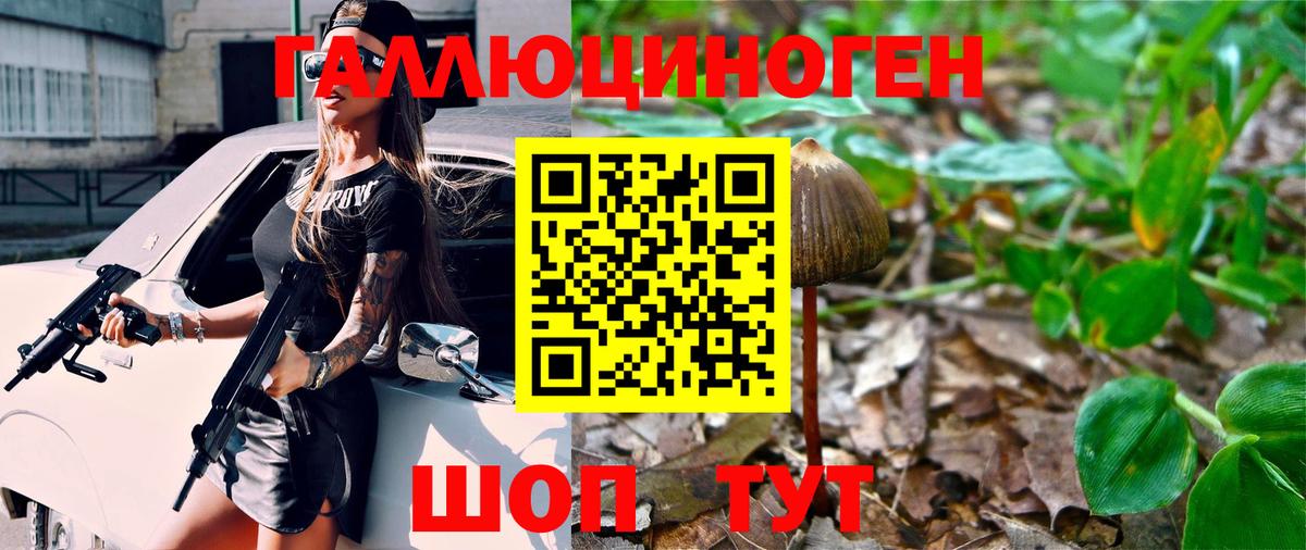 Галлюциногенные грибы GOLDEN TEACHER  Вход с VPN  Котлас 